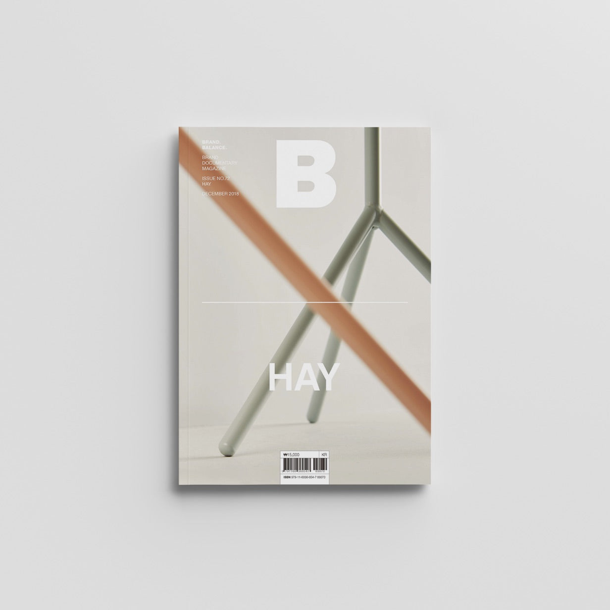 Magazine B Issue-72 HAY